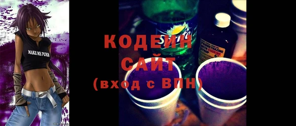 шишки Нея