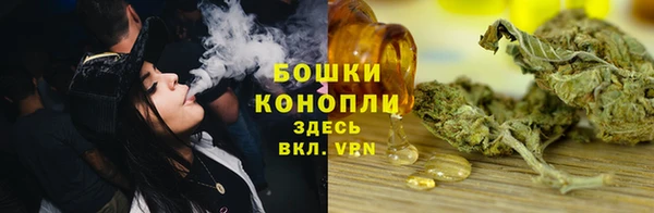 шишки Нея