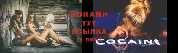 гашик Нефтекумск
