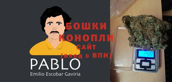 гашик Нефтекумск
