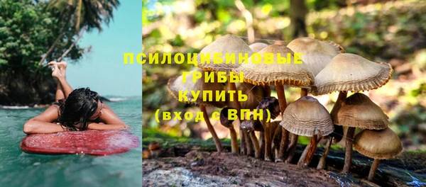 шишки Нея