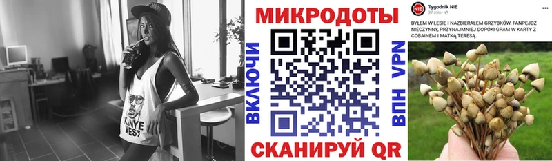 Галлюциногенные грибы Magic Shrooms  Богородицк 