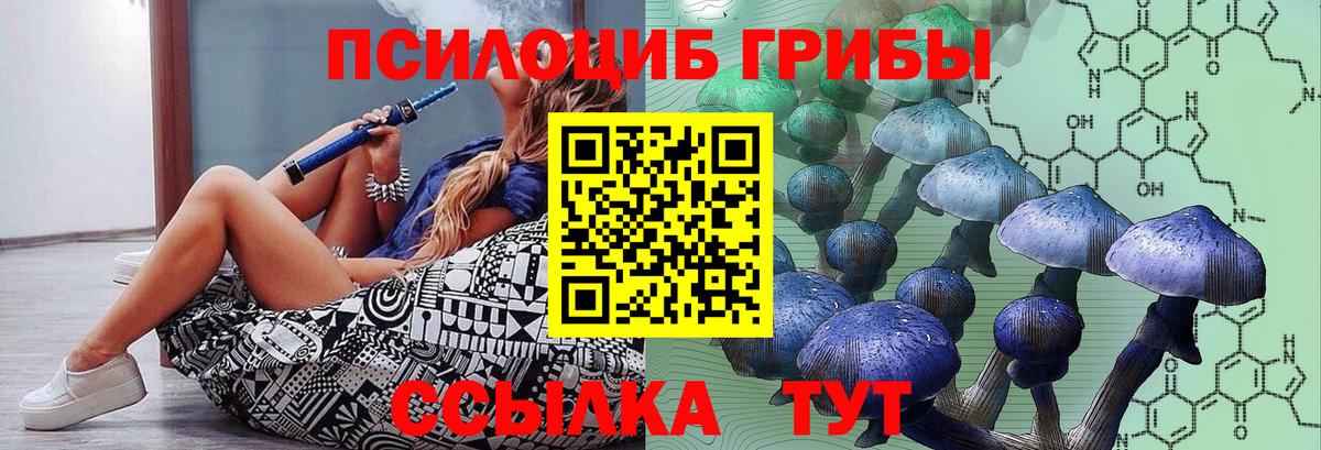 Богородицк  Галлюциногенные грибы ЛСД  как найти наркотики  Вход с VPN 