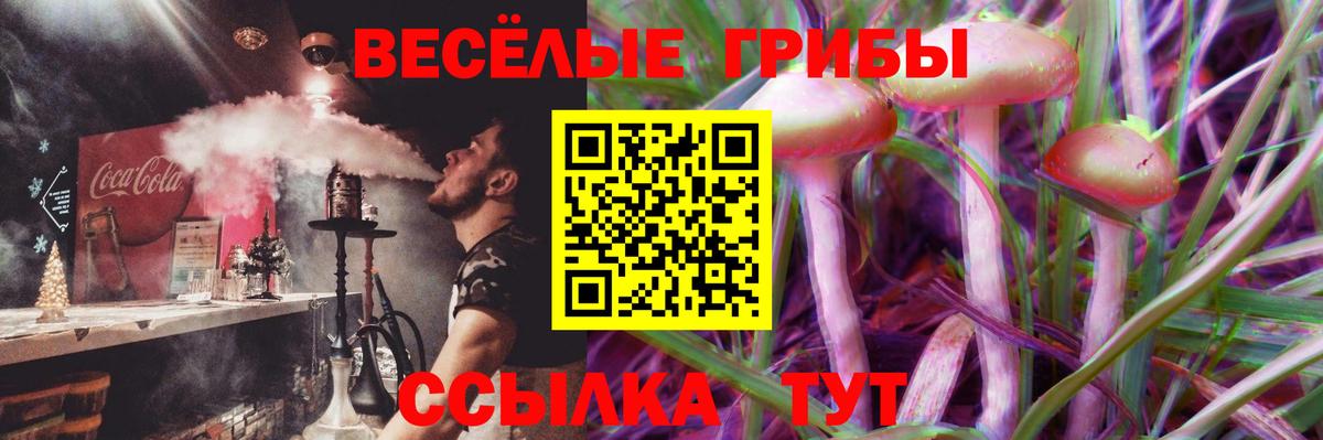 где купить наркоту  Псилоцибиновые грибы прущие грибы  Богородицк  Псилоцибиновые грибы GOLDEN TEACHER 