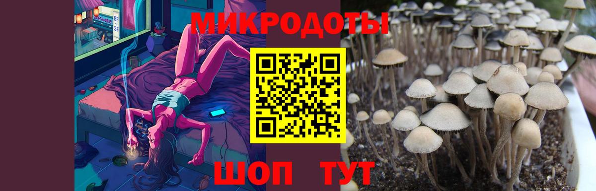 Галлюциногенные грибы Magic Shrooms Богородицк