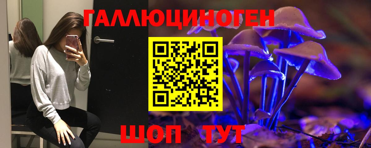 Псилоцибиновые грибы Psilocybe Богородицк